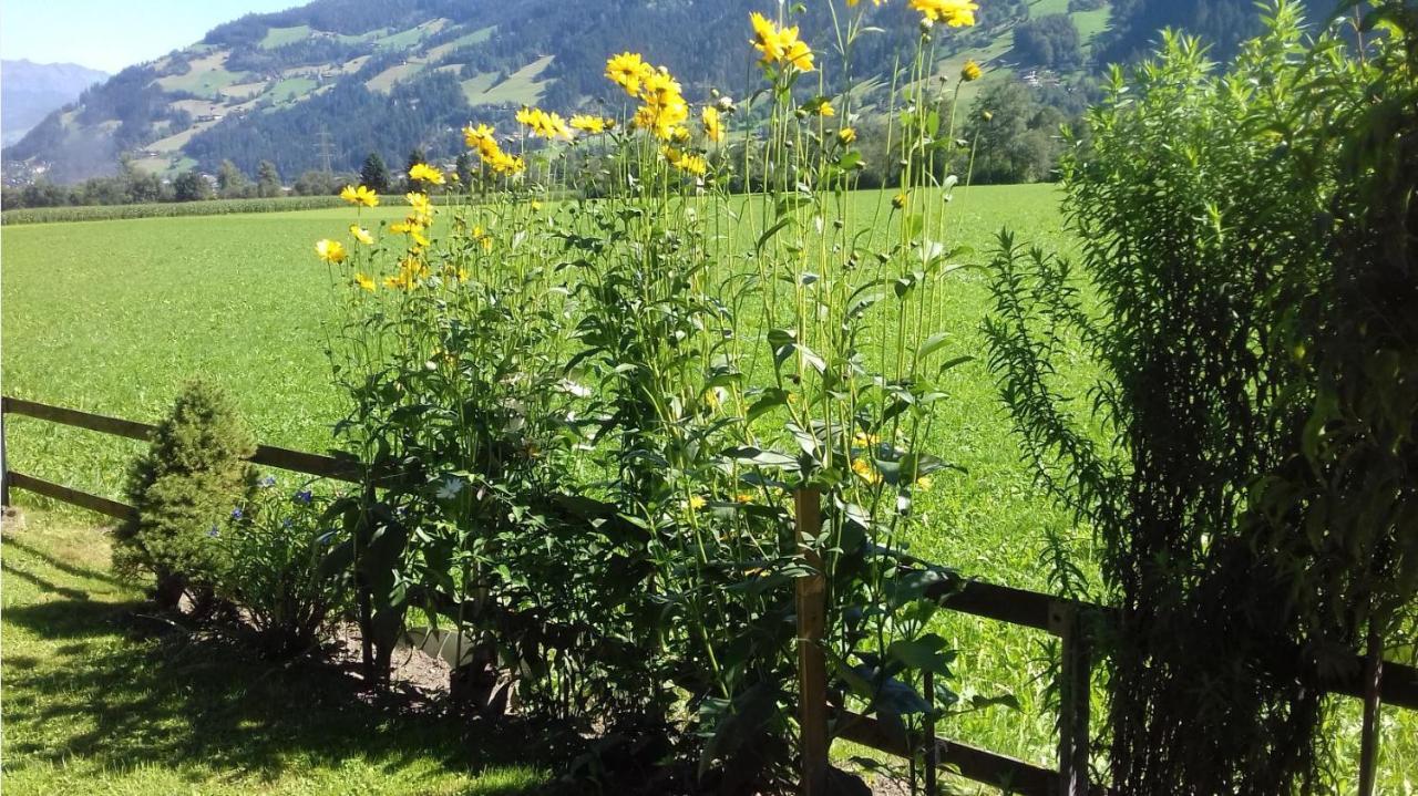 Bed and Breakfast Haus Kreidl Schwendau Exterior foto